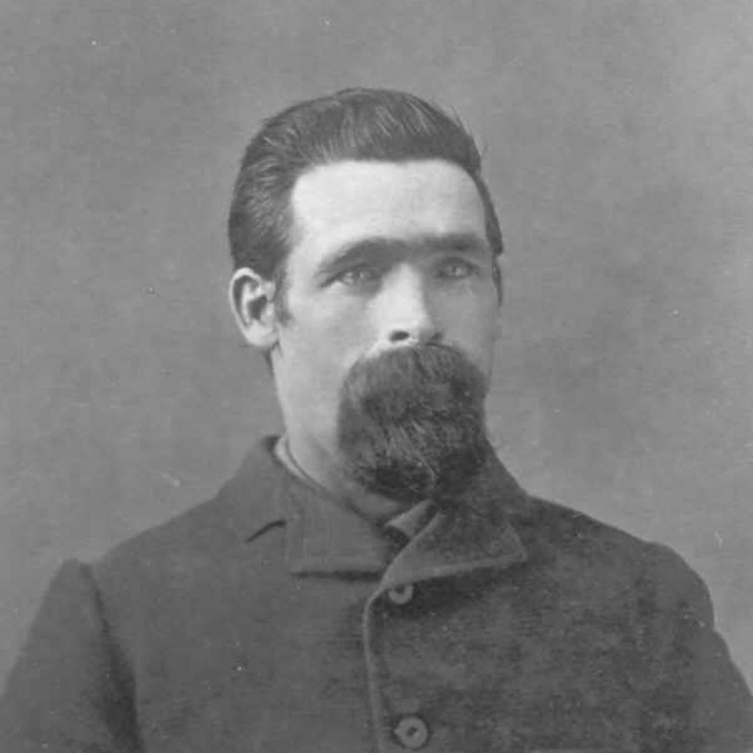 Isaac Rees Price (1846 - 1892) Profile